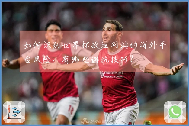 如何识别世界杯投注网站的海外平台风险，有哪些避坑技巧？