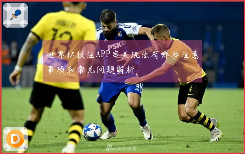 世界杯投注APP串关玩法有哪些注意事项和常见问题解析